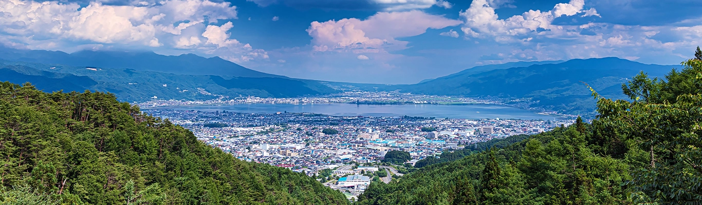 訪問看護師の募集要項